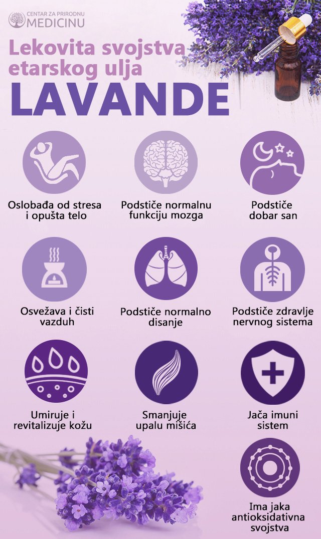 lavanda-slika-novembar-2017.jpg