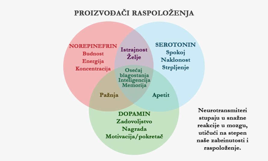 neurotransmiteri-decembar-2016.jpg